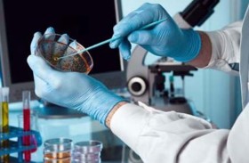 جامعة روسية تطور نظاما يكشف عن السرطان في مراحله المبكرة