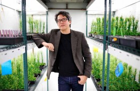 دراسة جديدة تربط بين موجة البرد القارس التي واجهتها الأرض قبل 4200 عام وتطور سلالات الأرز 