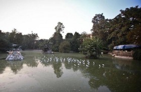 حالة نادرة بحديقة الحيوان.. والرش بمعقم مرتين