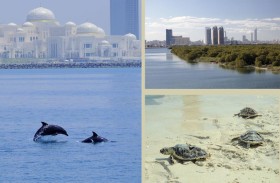 اختيار أبوظبي عاصمة للبيئة العربية لعام 2023