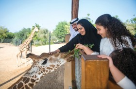 حديقة الحيوانات بالعين معلم سياحي وموطن لأكثر من 4000 حيوان 