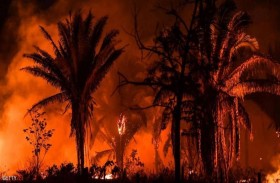 شبح كارثة الأمازون يلوح في الأفق