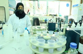 كهرباء الشارقة : فحص 8007 عينات في مختبر إدارة محطات المياه والتحلية عام 2020