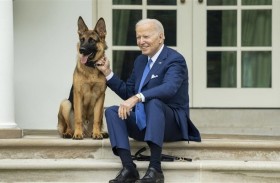 كلب بايدن يهاجم موظفين في البيت الأبيض