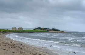 ساق بشرية تثير الذعر على شاطئ 