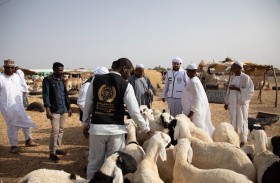 الأعمال الخيرية العالمية تطلق حملة الأضحى بتكلفة تتجاوز 24 مليون درهم