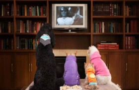 فندق لرعاية الحيوانات في تونس