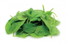 السبانخ.. مثالية للحفاظ على ضغط الدم الطبيعي