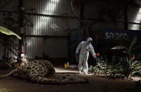 تدريبات لمكافحة الصيد الجائر في جنوب أفريقيا 