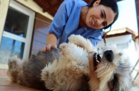 تحول منزلها لمأوى للحيوانات الضالة