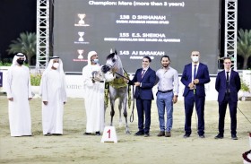  مربط دبي يتربع على عرش الإنتاج المحلي في الشارقة