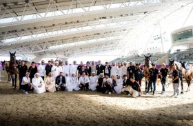 فرسان منتخب قفز الحواجز: «معسكر ألمانيا» يعزز جاهزيتنا لأولمبياد باريس 2024 