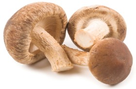 كيف يساعد تناول الفطر على تخفيف حدة الإنفلونزا؟
