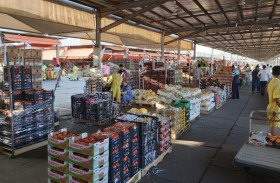 صحف عربية: «فواكه لبنان المخدرة».. حرب خفية على العرب