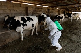 باكستان تعلن المزيد من إصابات الحمى النزفية