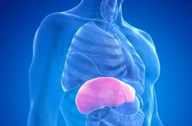 التهاب الكبد: ما الذي يجب أن يبحث عنه الآباء؟