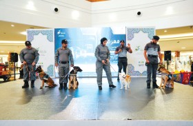 شرطة أبوظبي تنظم معرضاً توعويًا ضمن حملة «صيّف بأمان»