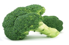البروكلي