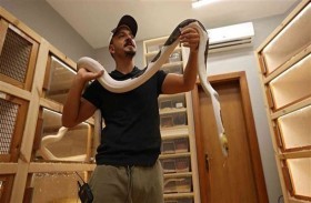 يحترف تهجين الثعابين في منزله