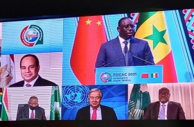 الدول الأفريقية تجازف بمحاسبة الصين...!