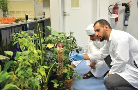 جامعة الإمارات تمول 18 مشروعاً بحثياً ضمن برنامج أبحاث أعضاء هيئة التدريس المواطنين 