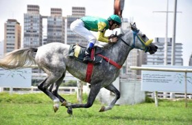 سباقا كأس الوثبة ستاليونز للمهرات والأمهار اليوم في ضيافة البرازيل