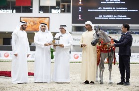 سيطرة ذهبية مطلقة لمربط دبي على السلالة المصرية في مهرجان الشارقة 