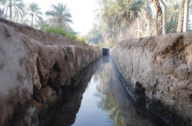 صيف الإمارات .. تحول نوعي من مقيظ الزمن الجميل إلى مقيظ الألفية