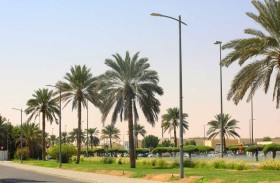 بلدية مدينة العين تنجز مشروع تطوير منظومة إنارة الطرق الداخلية