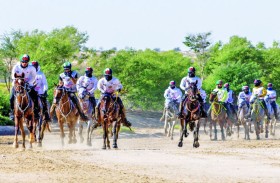 السباق الرئيسي على كأس ولي عهد دبي للقدرة لمسافة 119كم يقام اليوم