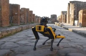 كلب آلي لمراقبة لصوص المدينة البائدة