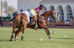 الحبتور والذئاب يحققان فوزا غاليا على مهرة وجرين غيتس