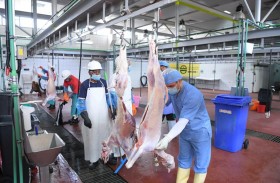 احتفال الأمة الإسلامية بعيد الأضحى المبارك 