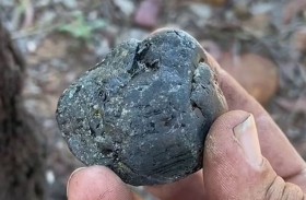 يعثر على ياقوتة نادرة بالصدفة أثناء نزهة