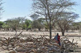 تحركات عربية ودولية لصد «الكارثة المزدوجة» في الصومال