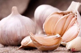 مع ارتفاع الأسعار.. الثوم من الإسمنت في الهند!