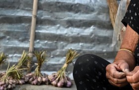 أطعمة تساهم في تأخير الشيخوخة.. تعرّف عليها