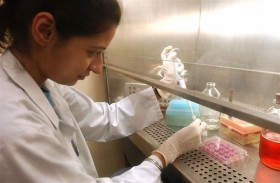 1100 حالة لحمى الضنك في تايوان