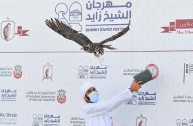 ختام مبهر لـ «مهرجان الشيخ زايد» للصيد بالصقور