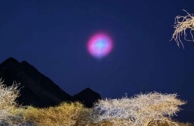 «بقعة وردية» في سماء السعودية