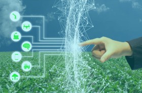 أبوظبي للزراعة تطور نموذجا للتنبؤ بالواردات الغذائية والأعلاف عبر تقنيات الذكاء الاصطناعي