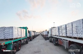 دخول 214 شاحنة مساعدات إماراتية تحمل 4565 طنا إلى قطاع غزة منذ فتح المعابر