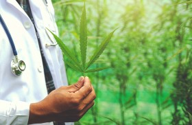 الماريجوانا تزيد خطر الإصابة بالنوبات القلبية 