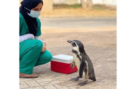 حديقة الحيوانات بالعين تحتفي باليوم العالمي للبيطرة