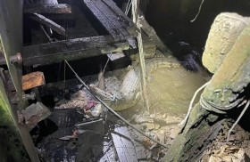 العثور على تمساح بطول 3 أمتار في قبو منزل 