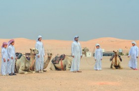 مركز العين الشبابي يختتم برنامج الهجن التراثي في منطقة سيح صبرة بمدينة العين التابع لنادي تراث الإمارات