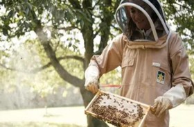 الأميرة كيت في زي النحالين