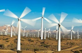 توربينات الرياح.. ما علاقتها بانقراض الطيور؟