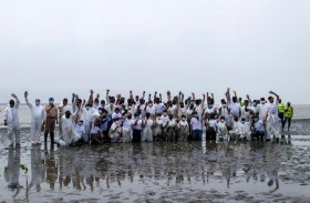 موانئ دبي العالمية تحصل على جائزة دولية عن مشروع غابات المانغروف بالإكوادور