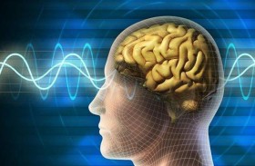 دماغ الإنسان وارتفاع الحرارة.. تأثيرات مذهلة تصل للانتحار